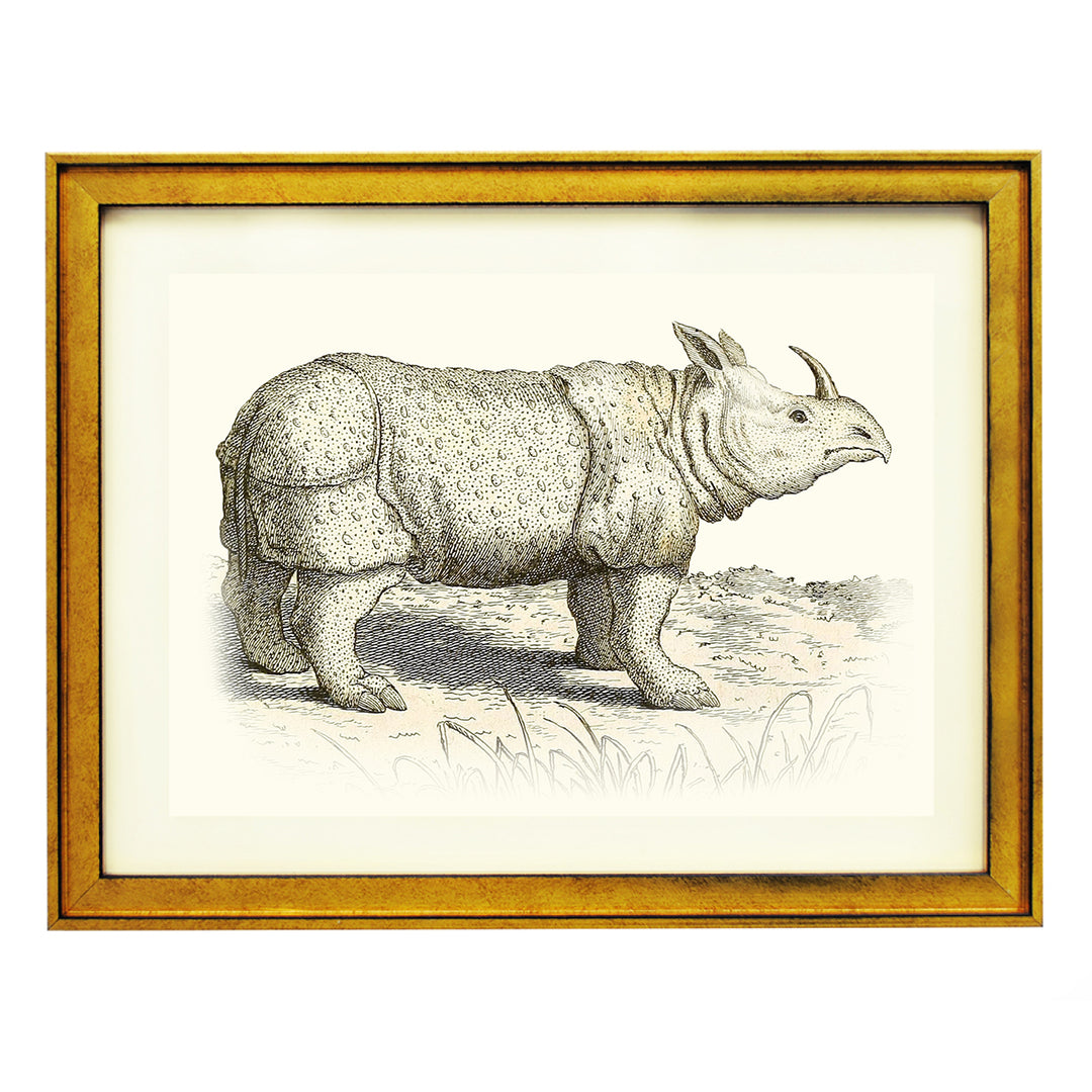 Rhinoceros ART PRINT