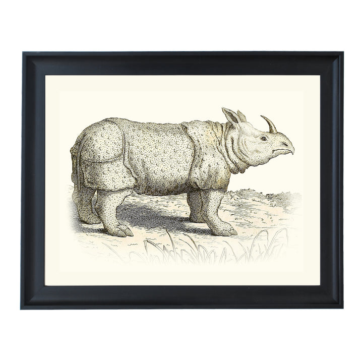 Rhinoceros ART PRINT