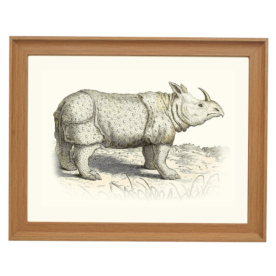 Rhinoceros ART PRINT