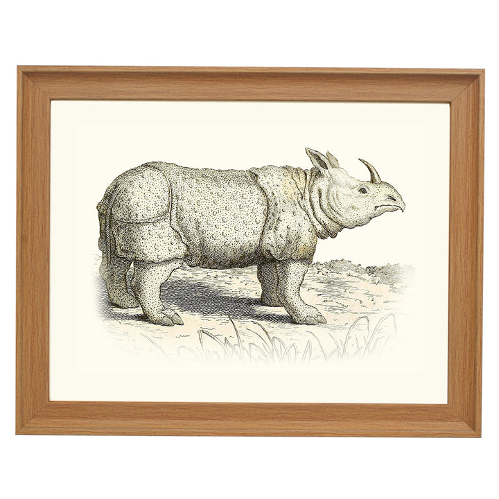 Rhinoceros ART PRINT