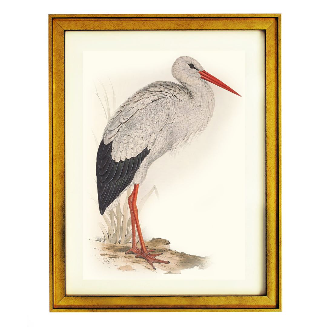 WHITE STORK ART PRINT