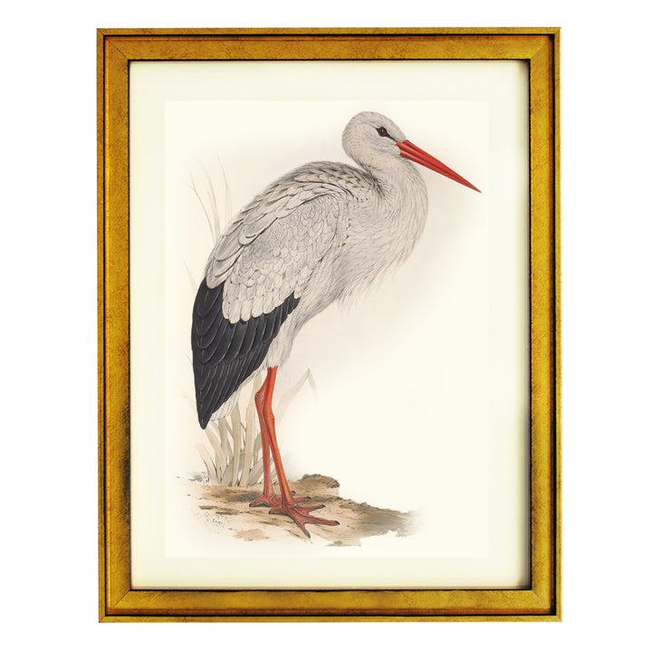 WHITE STORK ART PRINT