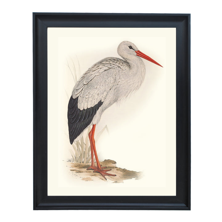 WHITE STORK ART PRINT