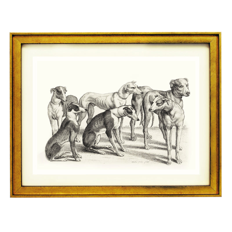 Hunting dogs ART PRINT