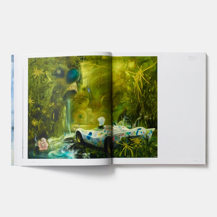 Nigel Cooke (Phaidon Contemporary Artists Series) Book
