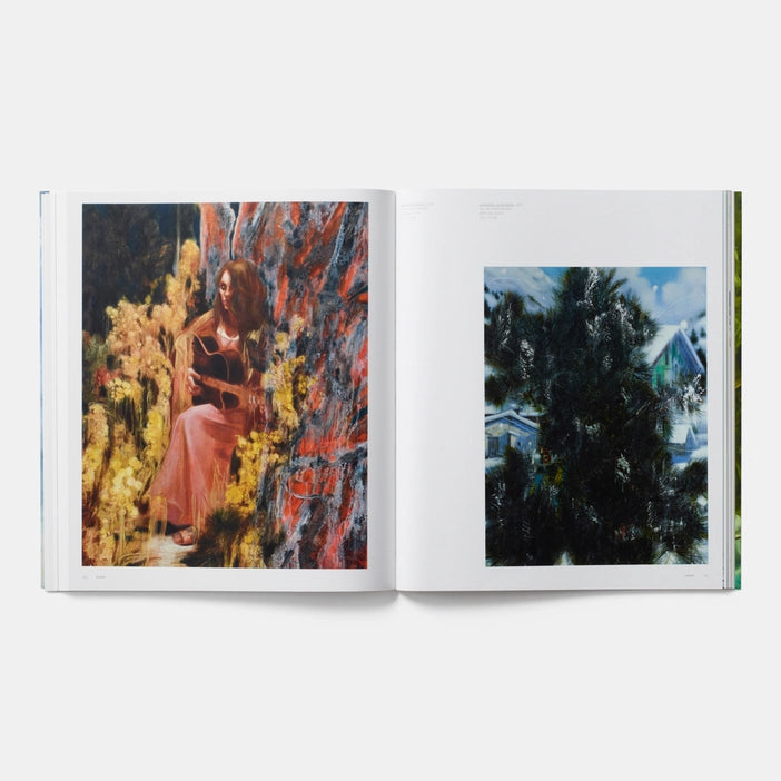 Nigel Cooke (Phaidon Contemporary Artists Series) Book