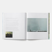 Nigel Cooke (Phaidon Contemporary Artists Series) Book