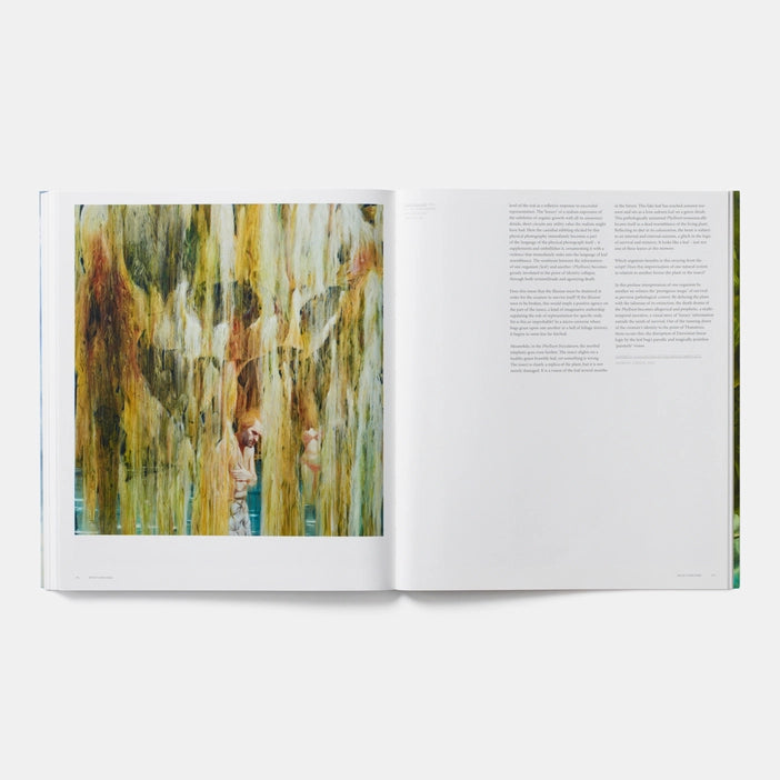 Nigel Cooke (Phaidon Contemporary Artists Series) Book