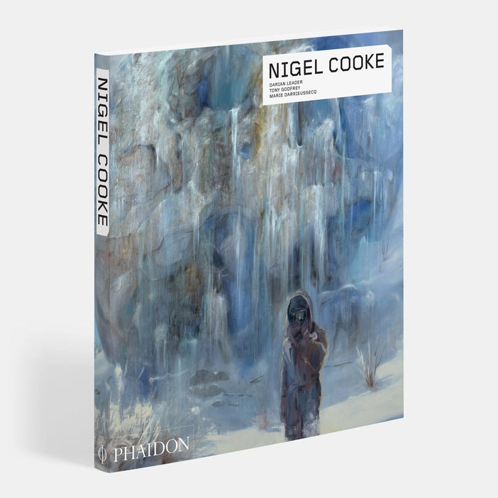 Nigel Cooke (Phaidon Contemporary Artists Series) Book