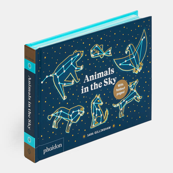 Animals in the Sky Board book – Lift the flap, 18 March 2020 Book