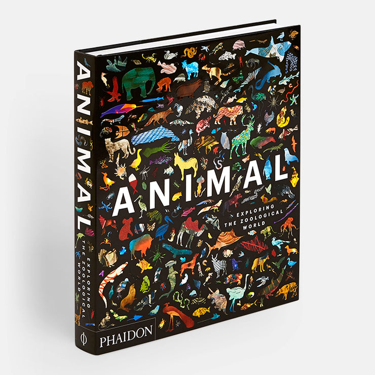 Animal, Exploring the Zoological World Book