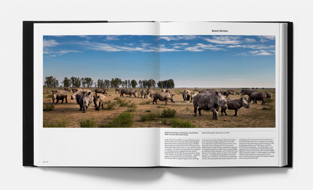 Animal, Exploring the Zoological World Book