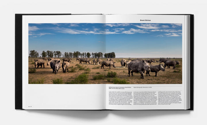 Animal, Exploring the Zoological World Book