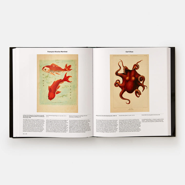 Animal, Exploring the Zoological World Book
