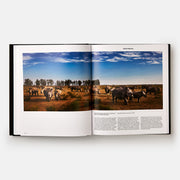Animal, Exploring the Zoological World Book