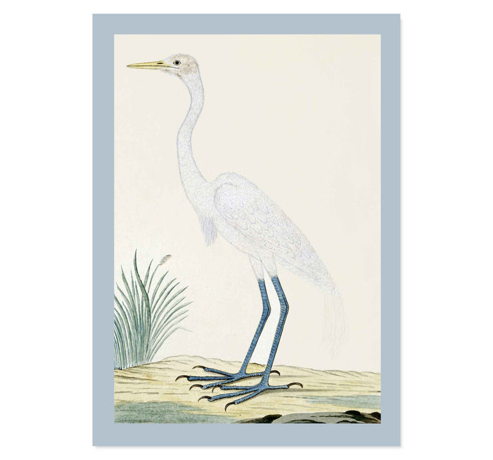 Great egret by Robert Jacob Gordon ART PRINT