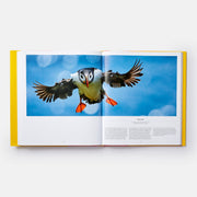 Bird, Exploring the Winged World Book