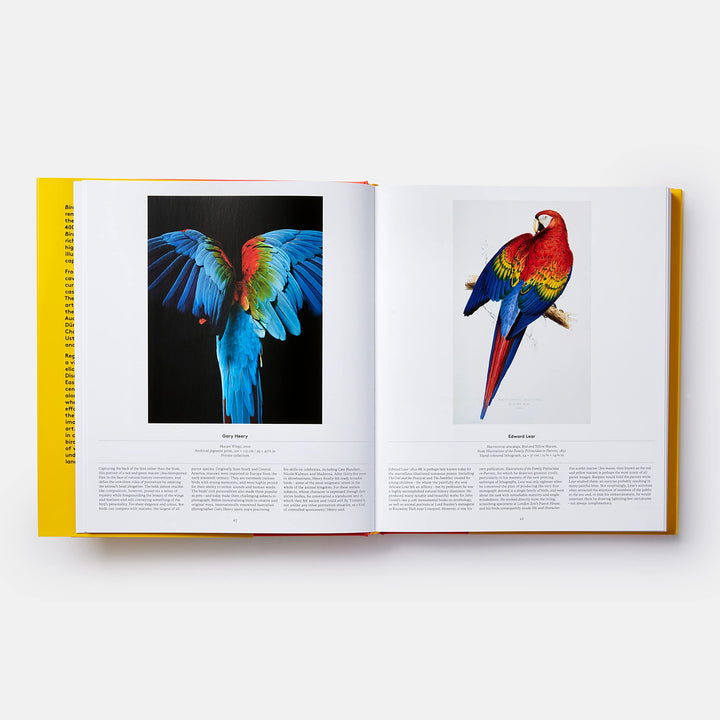 Bird, Exploring the Winged World Book