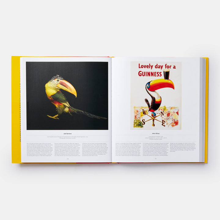 Bird, Exploring the Winged World Book
