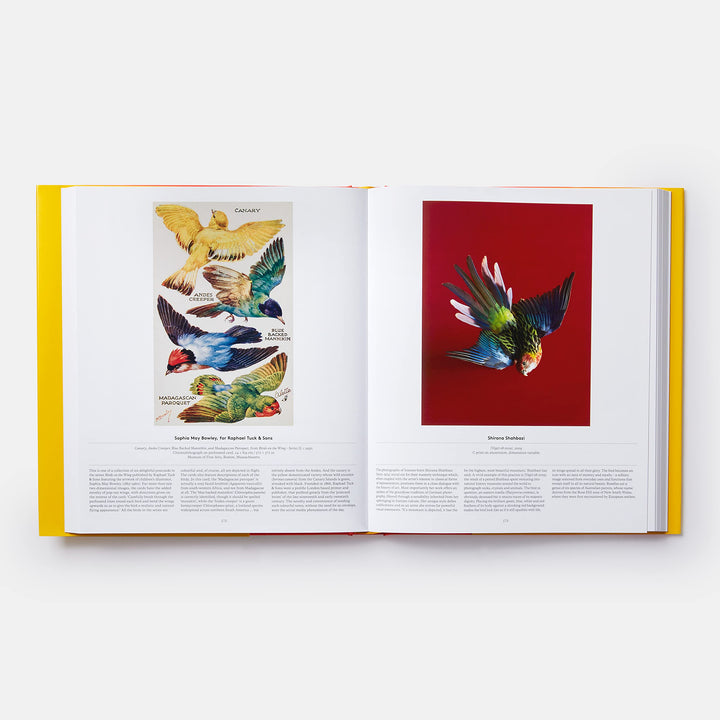 Bird, Exploring the Winged World Book