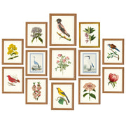 Botanical Wall Collection