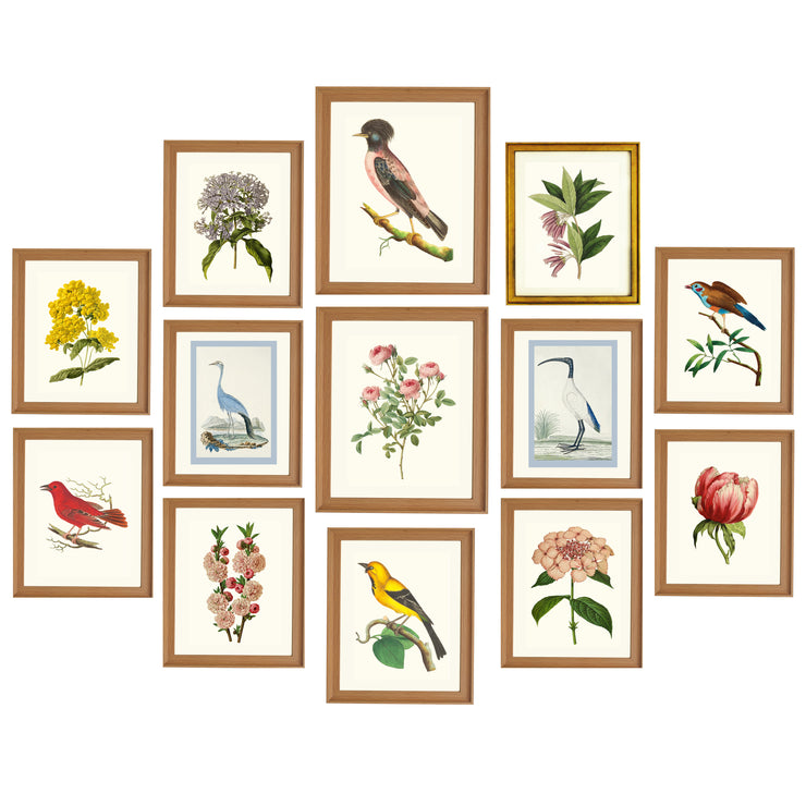 Botanical Wall Collection