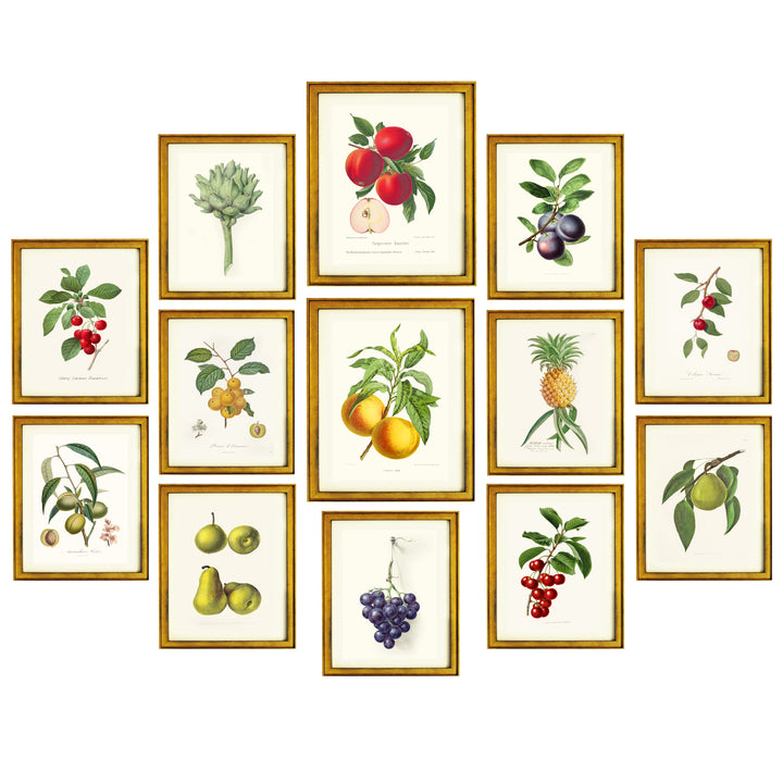 The Fruits Wall Collection