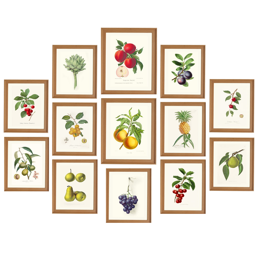 The Fruits Wall Collection