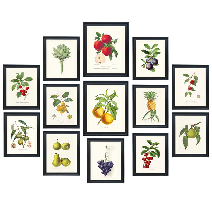 The Fruits Wall Collection