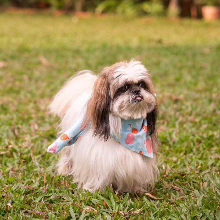 Organic Dog Bandana Air Collection