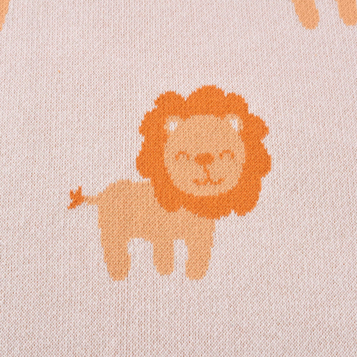 Lion King Baby Blanket