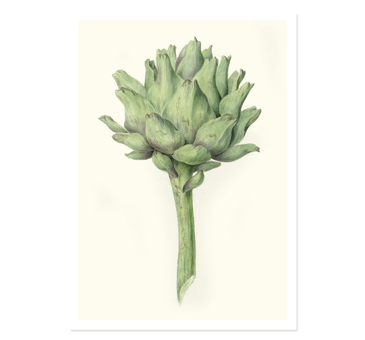 Artichoke ART PRINT