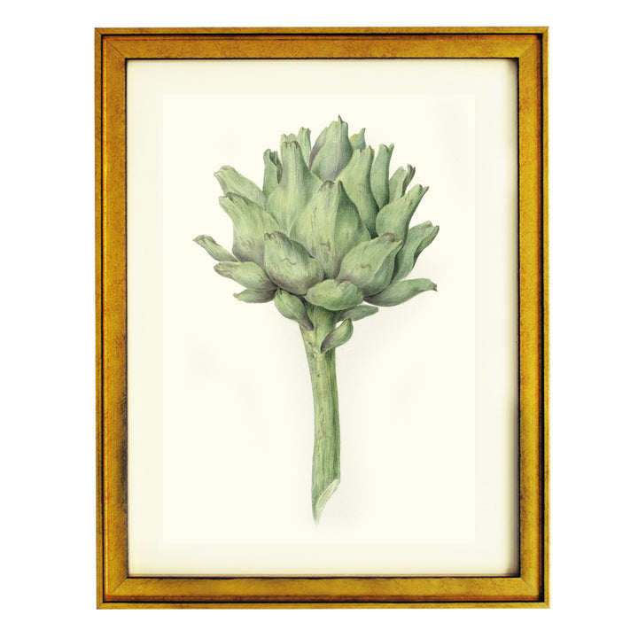 Artichoke ART PRINT