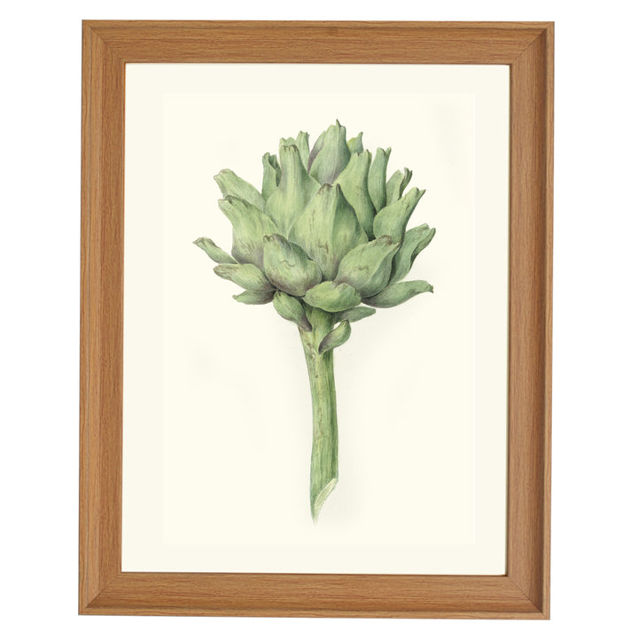 Artichoke ART PRINT