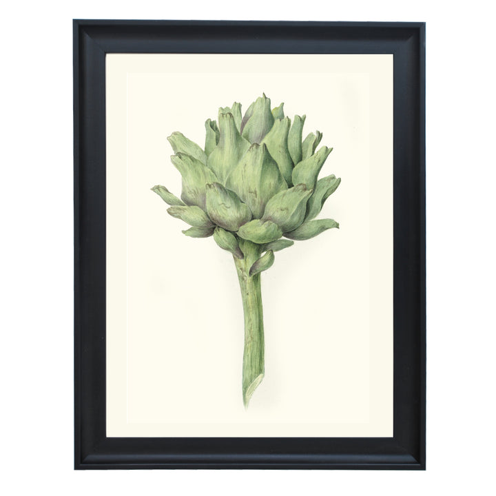 Artichoke ART PRINT