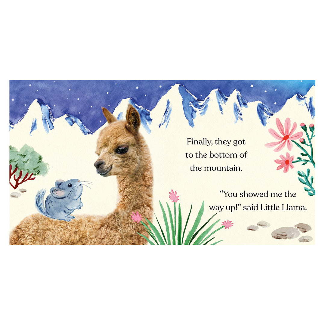 GOODNIGHT LITTLE LLAMA BOOK