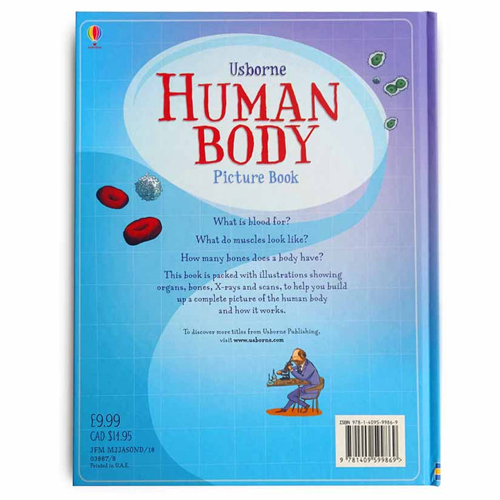 Human Body Picture Book