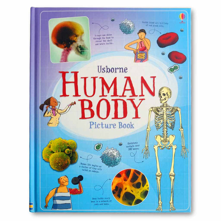Human Body Picture Book