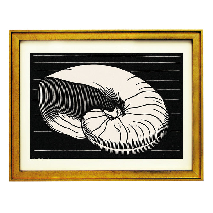 Shell By Julie De Graag ART PRINT