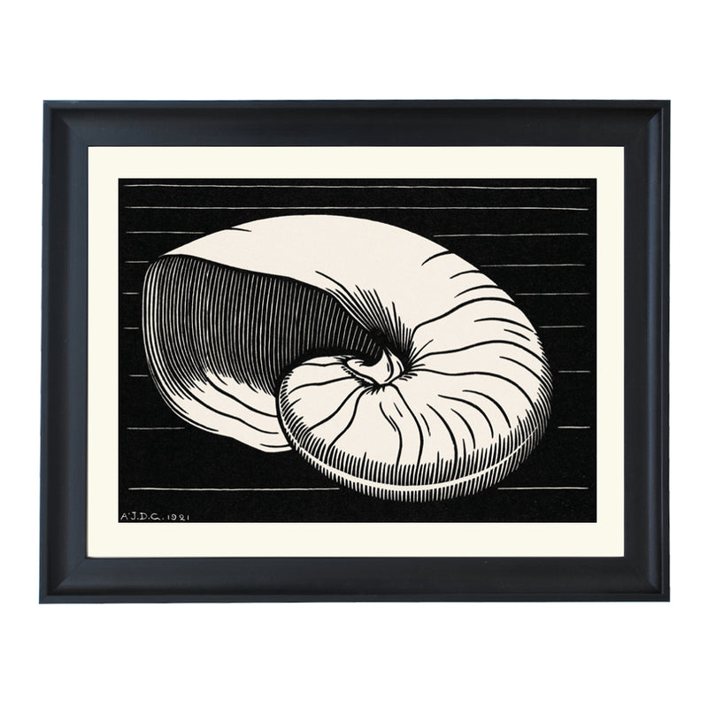 Shell By Julie De Graag ART PRINT