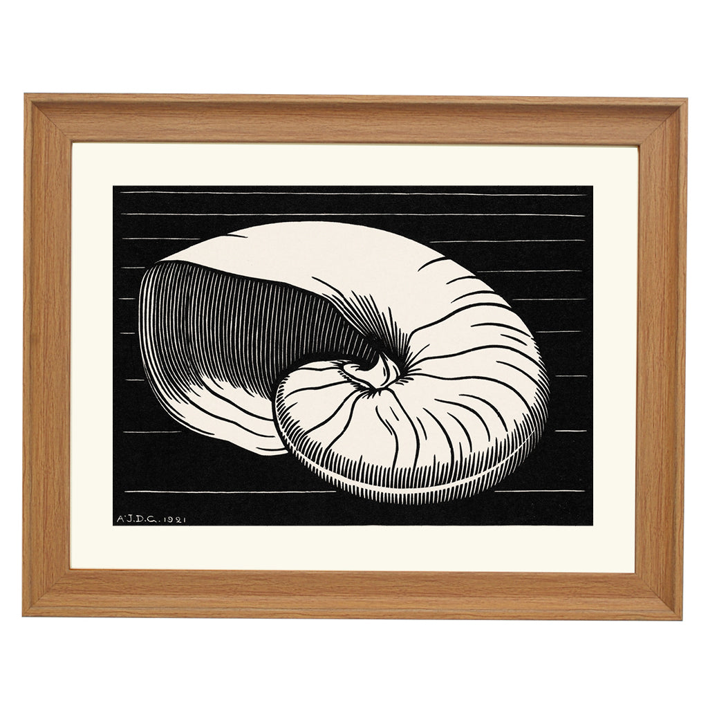 Shell By Julie De Graag ART PRINT