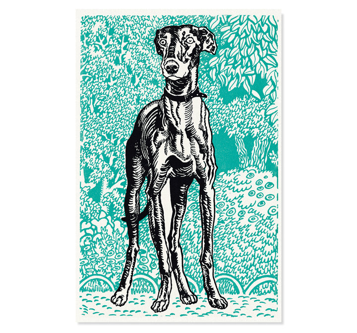 Greyhound By Moris Jung ART PRINT