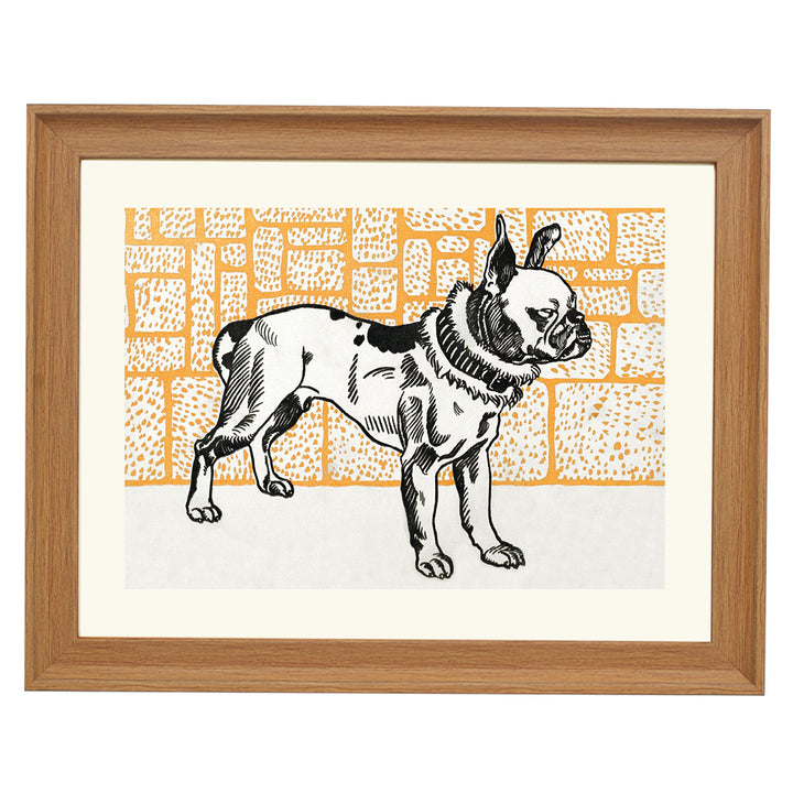 Pitbull Terrier By Moris Jung ART PRINT