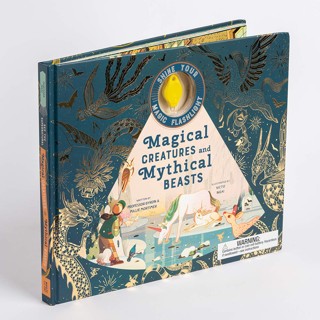 Magic Beasts Book Magical Creatures and Mythical Beasts | Kids Book | Ikka Dukka – Ikka ...