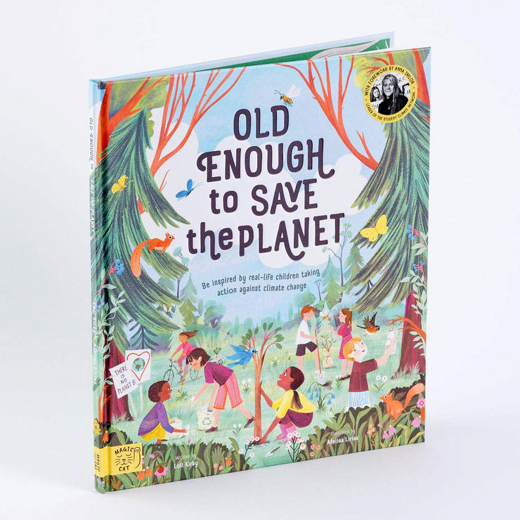 Old Enough to Save the Planet: With a foreword from the leaders of the School Strike for Climate Change Book