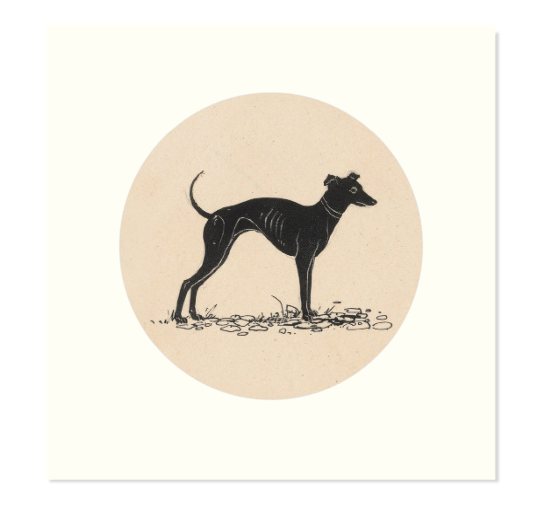 The greyhound art print