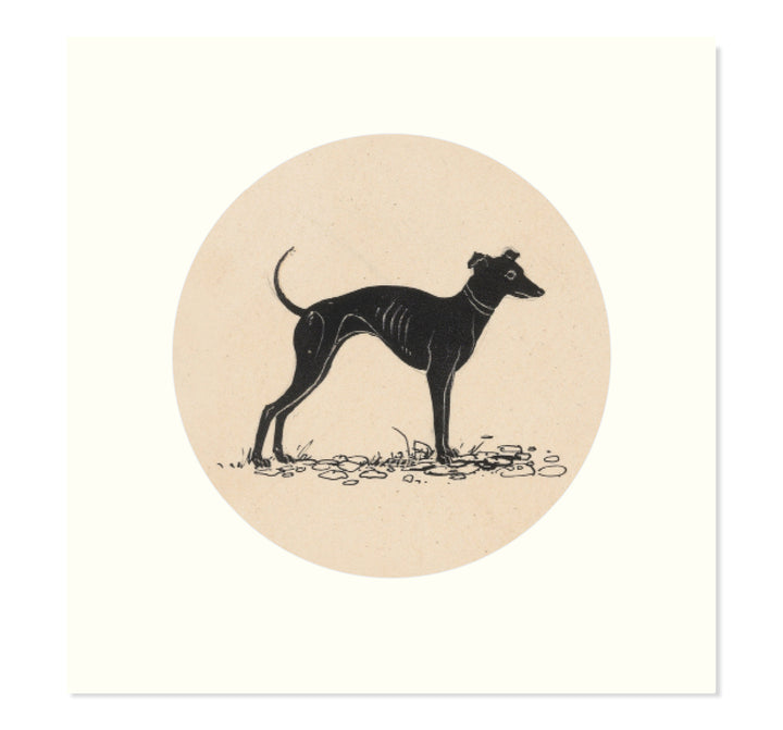 The greyhound art print