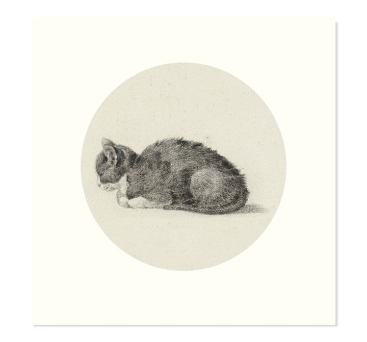 Sleeping cat art print