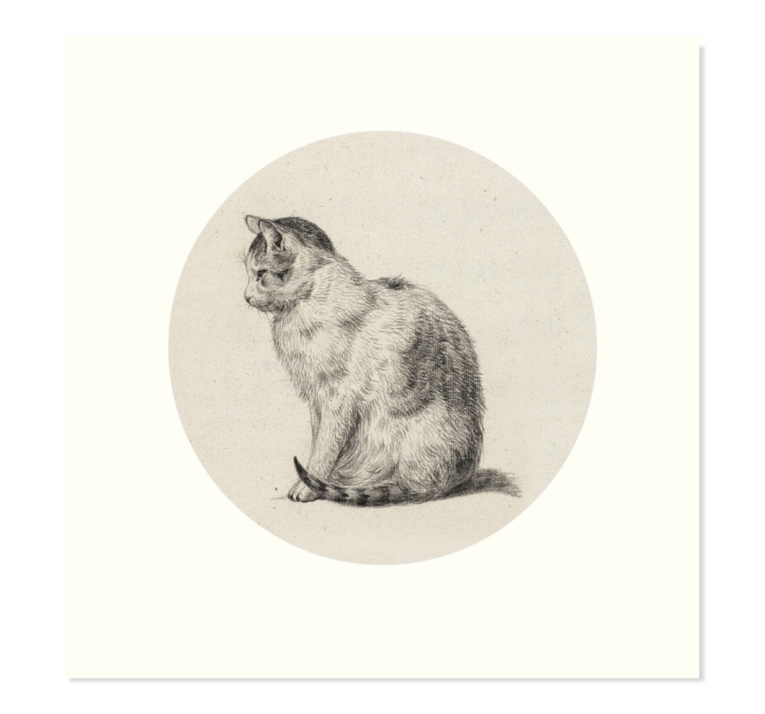 A cat sitting poised art print