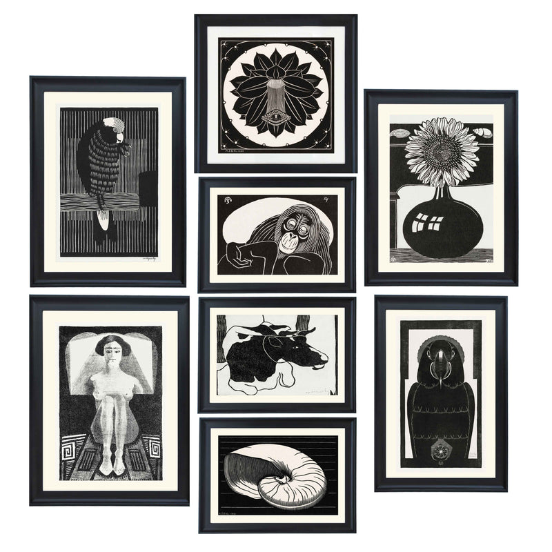 The shadow collection